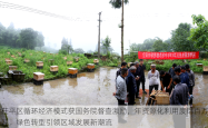 茌平区循环经济模式获国务院督查激励，年资源化利用废铝百万吨，绿色转型引领区域发展新潮流